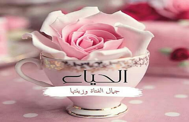 الحياء جمال الفتاة وزينتها | فيديو - بوابة الأهرام