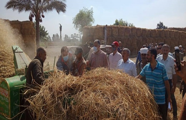 قيادات الزراعة والبيئة يتابعون أعمال منظومة جمع وتدوير قش الأرز في الشرقية| صور