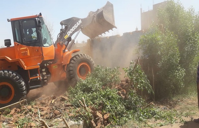 إزالة   حالة تعد على الأراضي الزراعية وأراضي أملاك الدولة في بني سويف 