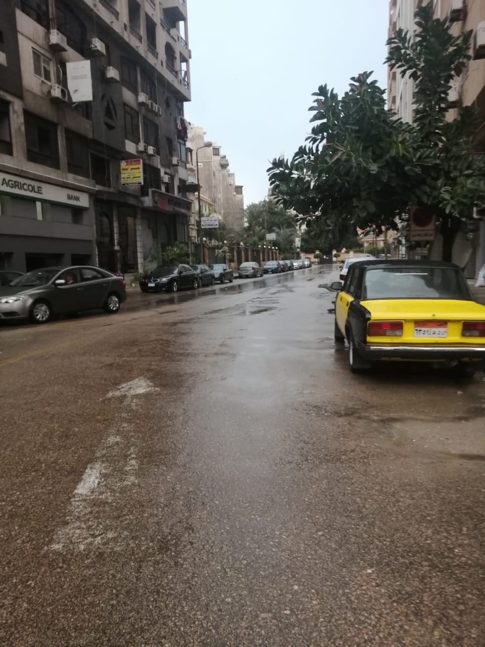 أمطار غزيرة في الإسكندرية