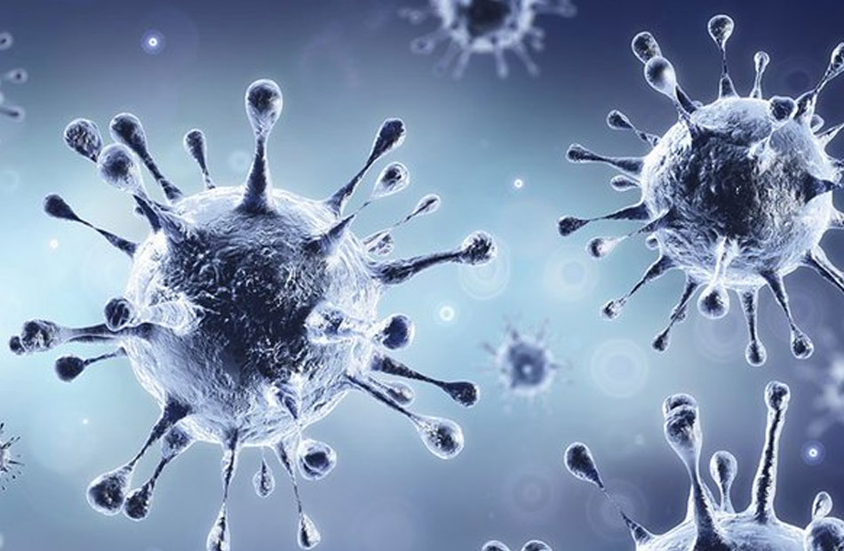 خلايا الدم المناعية قد تزيد من خطر الإصابة بفيروس كورونا 