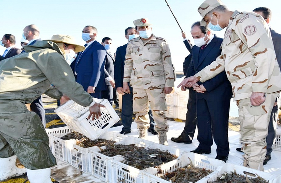 متحدث الزراعة الرئيس وجه بإنشاء قاعدة معلومات واضحة للقطاع الزراعي