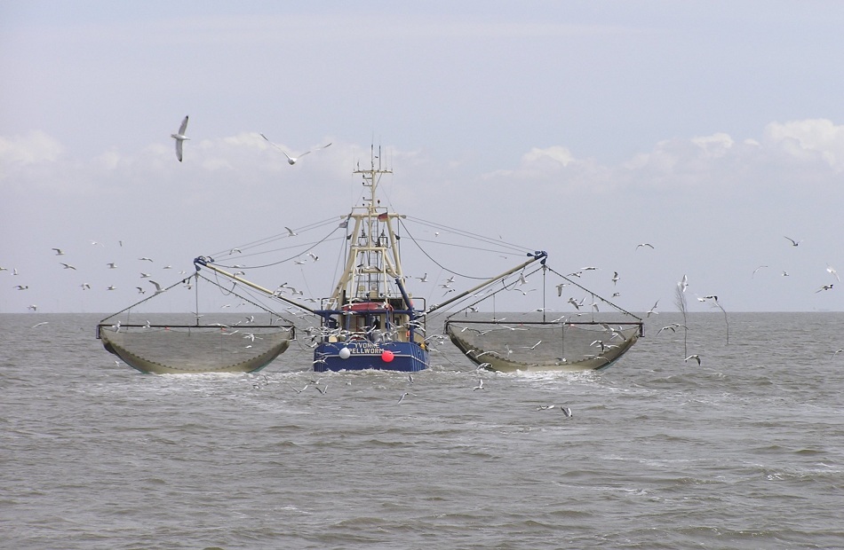 مسئول موريتاني يحذر من استنزاف الثروة السمكية بسبب سفن الصيد التركية والصينية