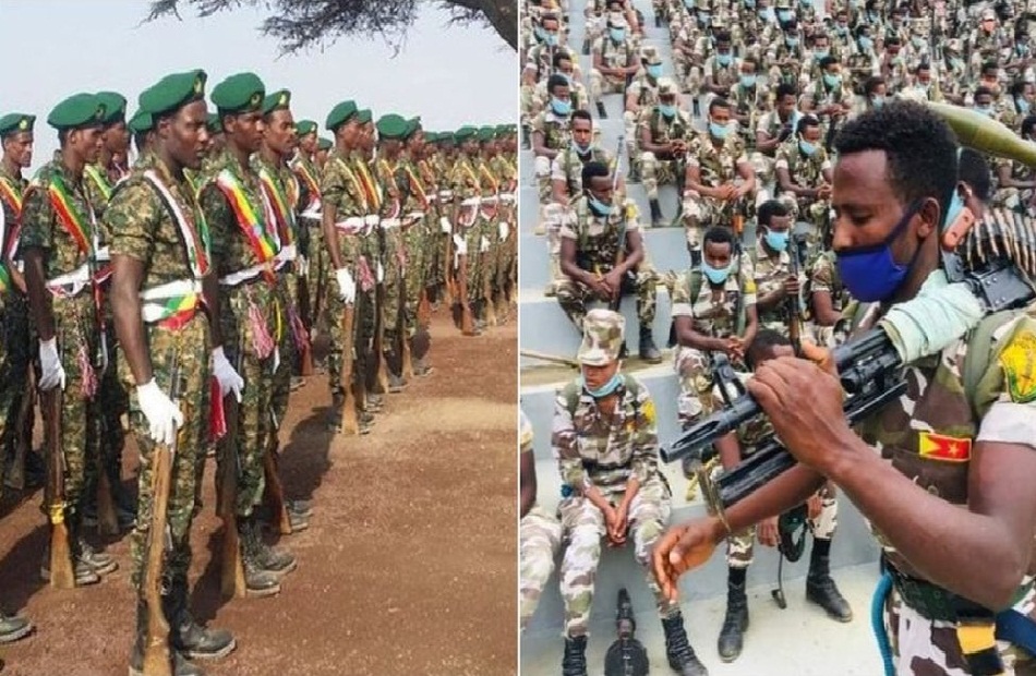 إثيوبيا تأمر قواتها بعدم التقدم أوالتوغل في منطقة تيجراي