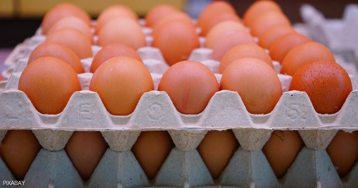 ضبط أكثر من  ألف بيضة مائدة قبل بيعها بأزيد من السعر بالقاهرة