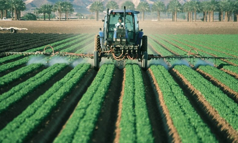 الزراعة» تكشف تأثير التغيرات المناخية على المحاصيل:«قضية وجودية» - بوابة الأهرام