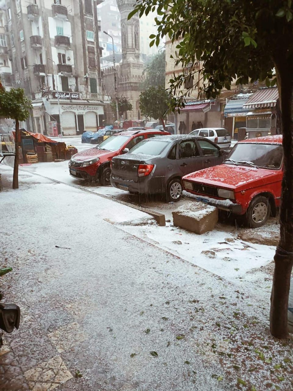 الثلوج تغطي شوارع الإسكندرية