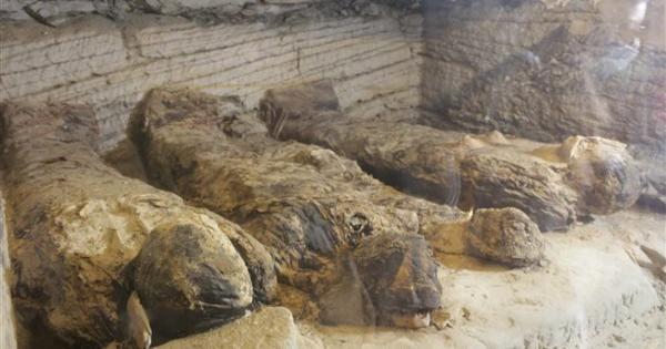 قصة وادي المومياوات حمار يقود لأهم الاكتشافات الأثرية في القرن الـ | فيديو