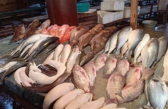   سعر السمك في السوق اليوم الخميس     