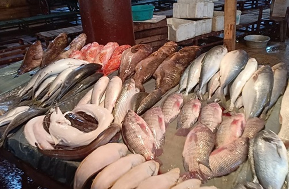سعر السمك في السوق اليوم السبت     