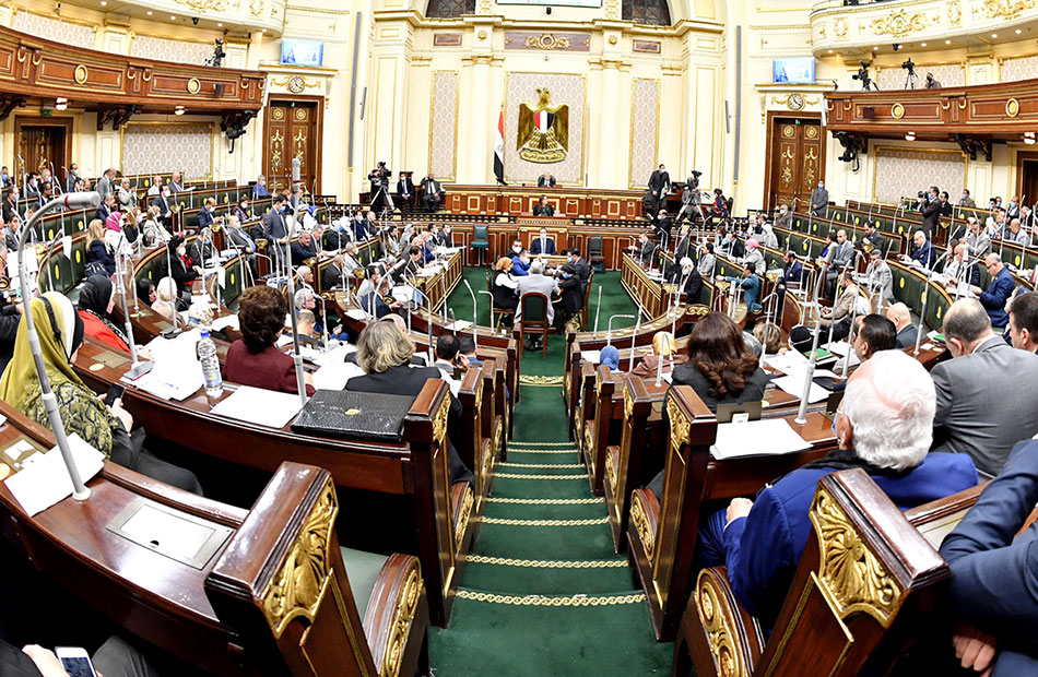 برلمانية تطالب بتقنين الرسوم والأسعار في قانون الموارد المائية والري