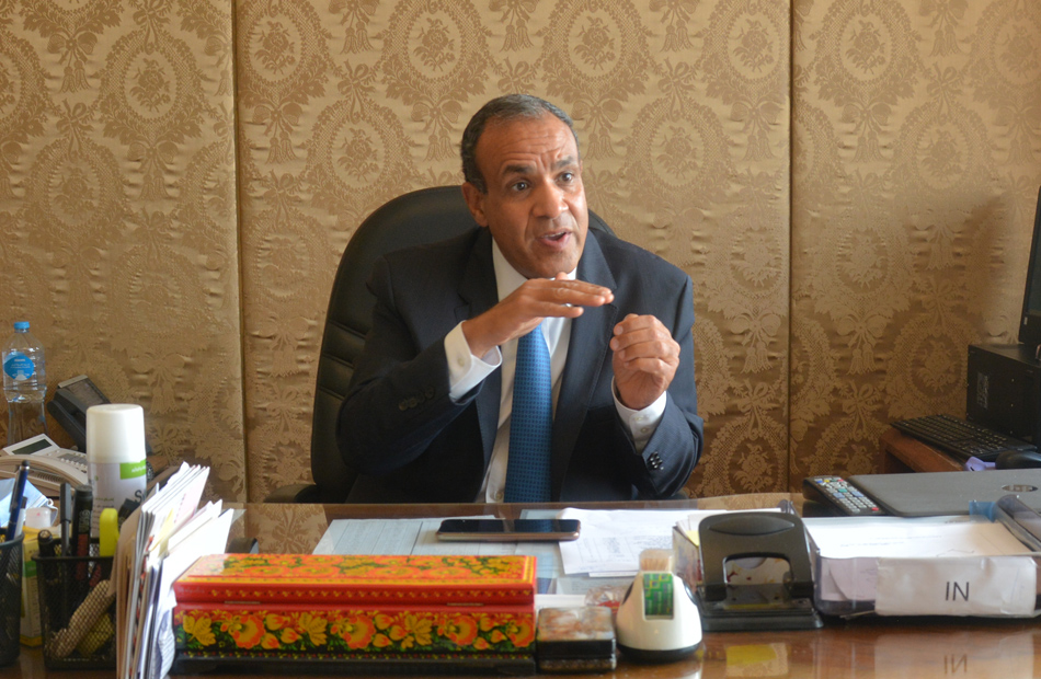 مساعد وزير الخارجية لـ«بوابة الأهرام مصر بحاجة لمزيد من تدفق الاستثمارات الأجنبية بشكل عام والأوروبية خاصة