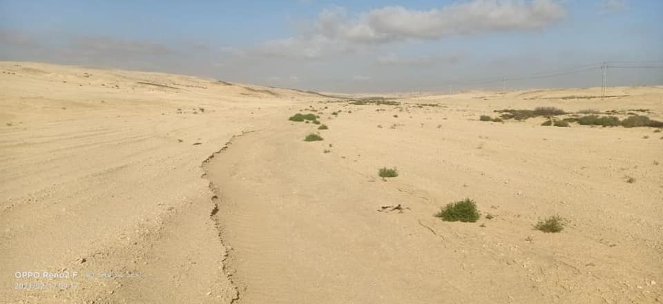 جانب من دراسات التربة بصحراء السويس