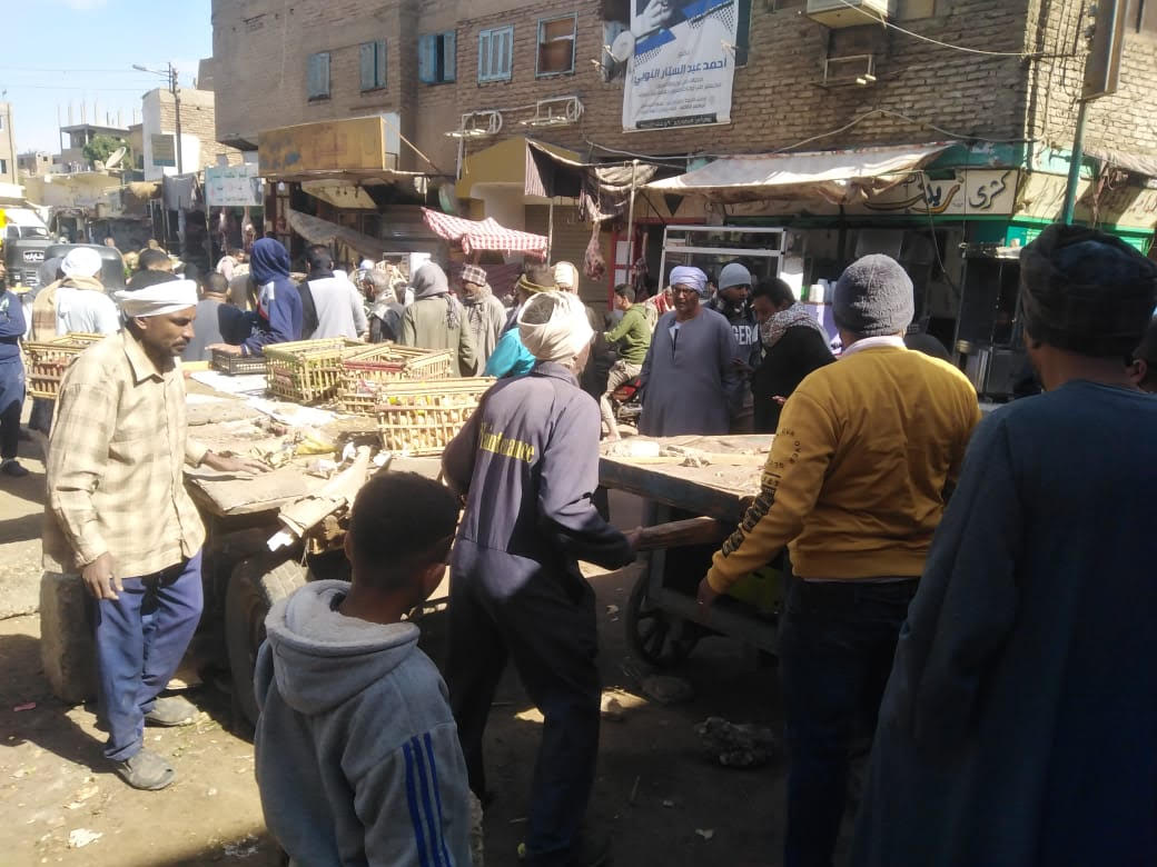 رفع الإشغالات والتعديات بالطرق بمركز أرمنت في الأقصر| صور