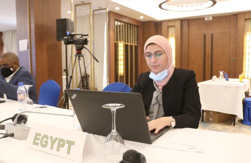 التخطيط تشارك في ورشة عمل عن تقدم مصر في التنمية المستدامة خلال اجتماع الآلية الإفريقية|صور