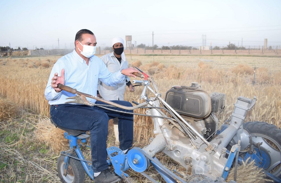 رئيس جامعة سوهاج يشارك في حصاد القمح ويفطر مع عمال المزرعة | صور 