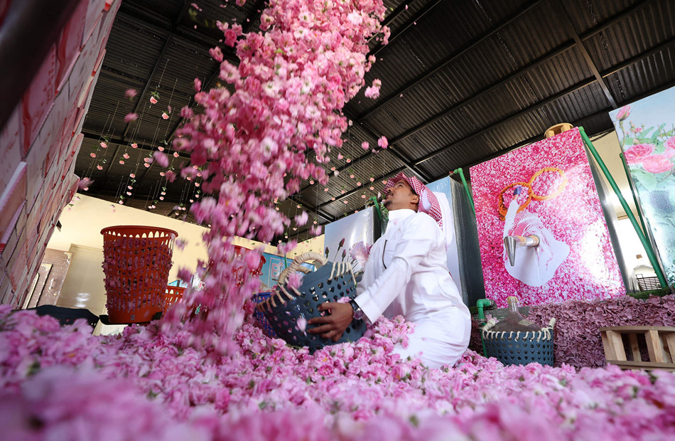 مدينة الورود في السعودية تزدهر في شهر رمضان