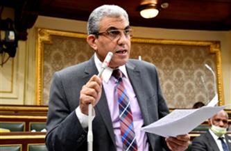   رئيس لجنة القوى العاملة بالبرلمان مشروع مستقبل مصر للإنتاج الزراعي يوفر مئات الآلاف من فرص العمل