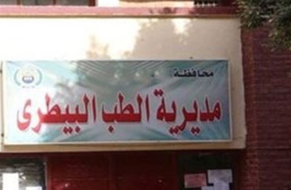 «مديرية طب بيطري السويس تواصل ذبح المواشي القادمة من السودان بمجزر الأدبية