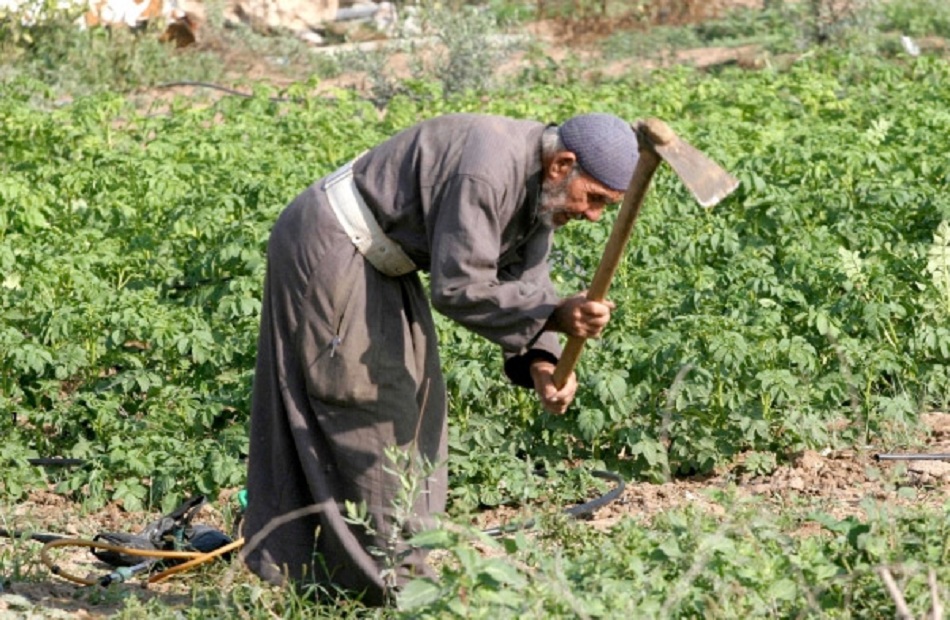 «إرجاء ضريبة الأطيان رحمة للفلاح وامتياز للمستثمر