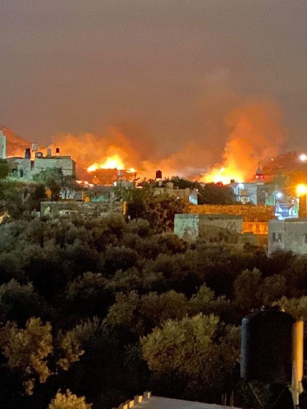 مستوطنون إسرائيليون يحرقون مساحات من أراضي بلدة فلسطينية