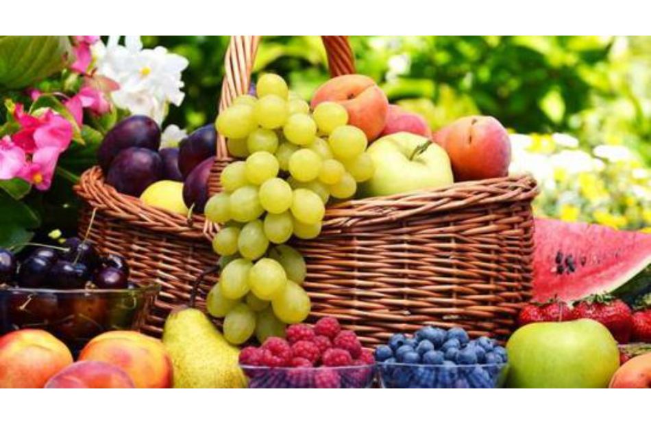المانجو العويس تواصل الارتفاع أسعار الفاكهة اليوم الخميس  يوليو 
