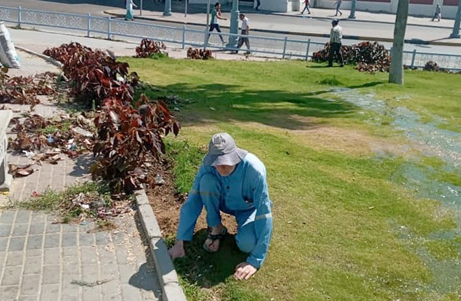 حملة تجميلية بميدان أم كلثوم في حي غرب القاهرة