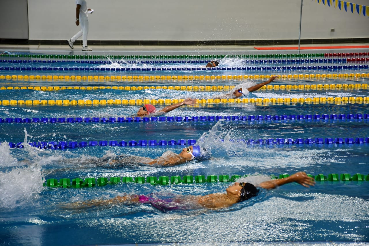 بطولة الجمهورية للسباحة