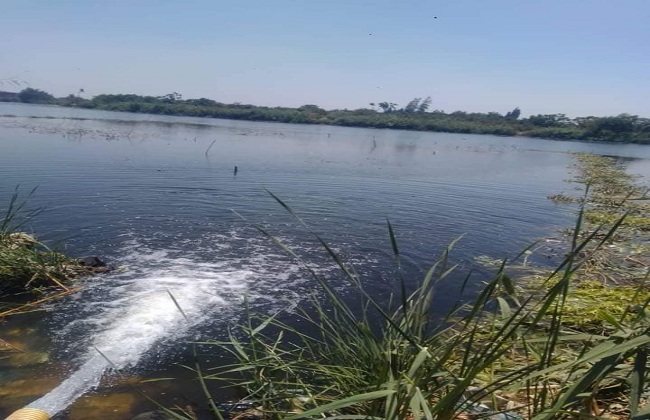 لتحقيق الاكتفاء الذاتي إلقاء أكثر من  مليون زريعة أسماك في نهر النيل والبحيرات