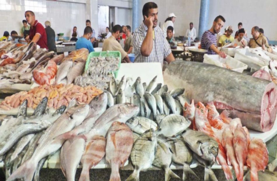  أسعار الأسماك اليوم الأربعاء  أغسطس 