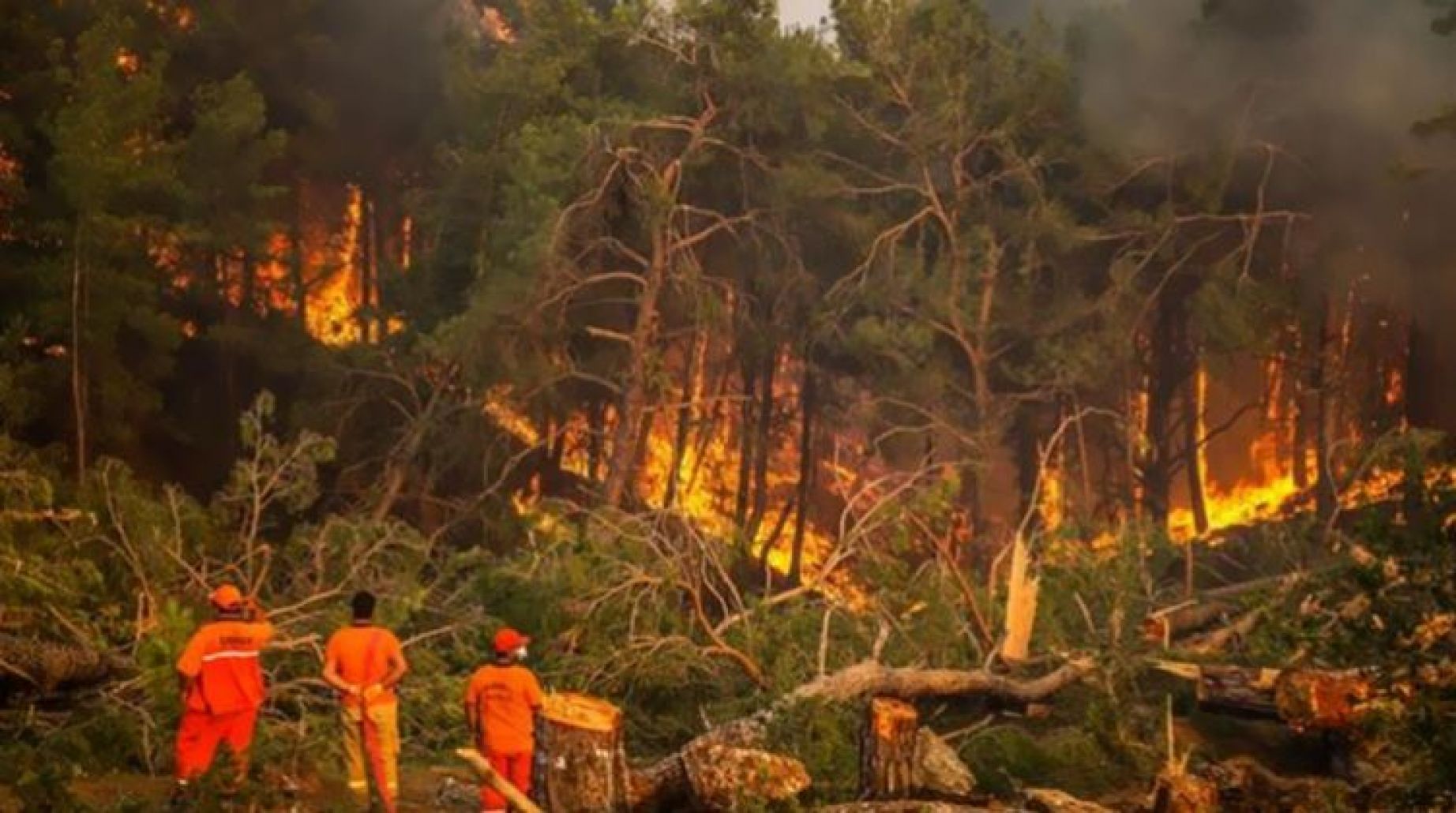 أسوأ موجة حر منذ عقود حرائق الغابات تتجدد في العالم | فيديو