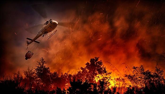 أكثر من  رجل إطفاء يكافحون حرائق غابات في كاليفورنيا