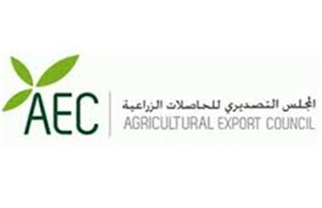 الدول العربية استحوذت على  من قيمة صادرات مصر من الحاصلات الزراعية