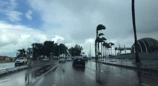الإسكندرية تعلن استعدادها للتعامل مع موجة اضطرابات الطقس اليوم - بوابة  الأهرام