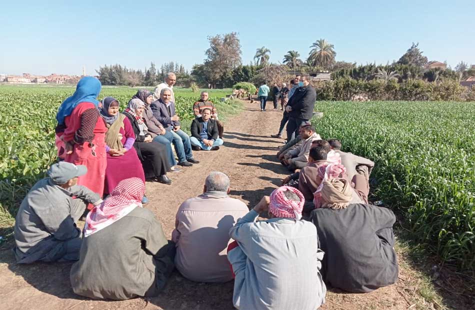 تنفيذ  مدرسة حقلية للمحاصيل الشتوية والإنتاج الحيواني في  محافظة |  صور