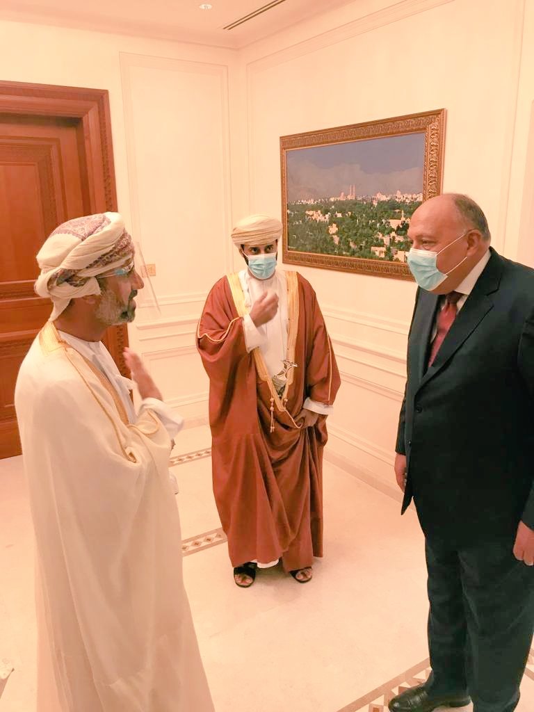 شكرى يبحث مع رئيس مجلس الشورى العمانى سبل تعزيز العلاقات البرلمانية والتشريعية