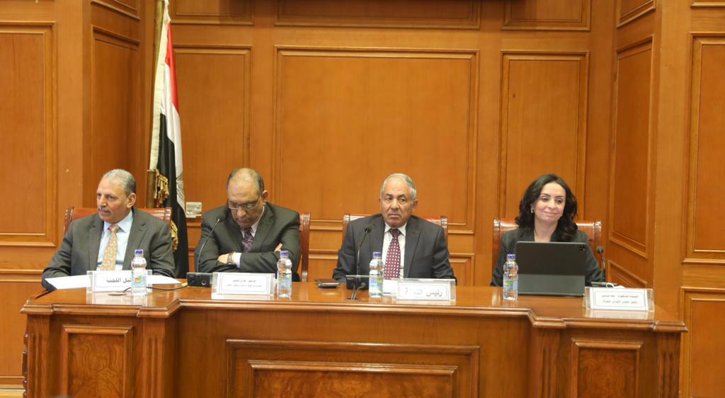 مايا مرسي تناقش تأثير الزيادة السكانية على الأمن القومي المصري في مجلس النواب| صور