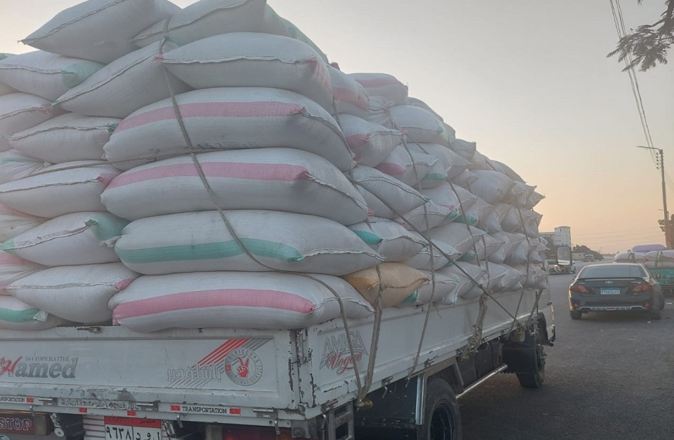  مصادرة  طن أرز شعير جمعها تجار في محافظة الغربية