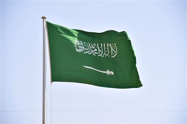 السعودية تستضيف الأربعاء المقبل ورشة عمل دولية حول التغيرات المناخية -  بوابة الأهرام