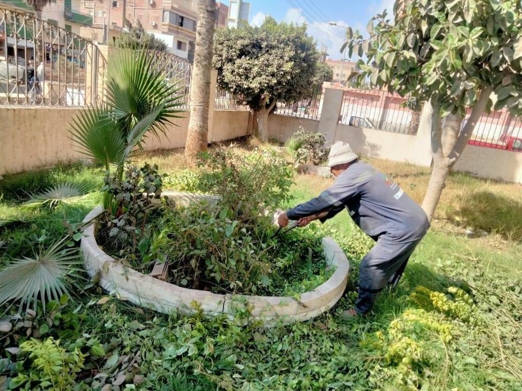 ضمن المبادرة الرئاسية زراعة  شجرة ونبتة في شوارع المنتزه ثان بالإسكندرية