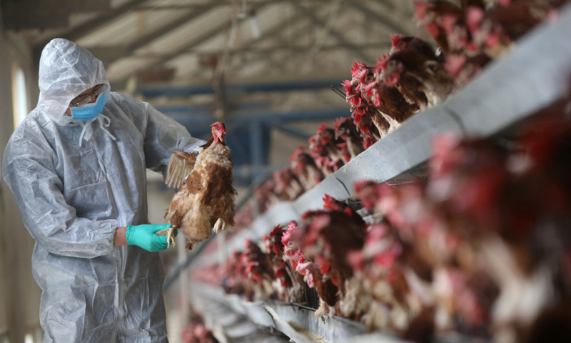 كوريا الجنوبية تسجل أول إصابة بإنفلونزا الطيور منذ  أشهر
