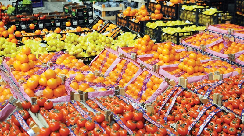 صادرات مصر الزراعية تغزو أسواق العالم وتحقق رقما قياسيا خلال 2022| تفاصيل -  بوابة الأهرام