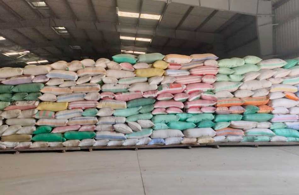 توريد 82641 طن أرز شعير بالدقهلية ومهلة حتى الأحد للإخطار بالكميات لدى المزارعين والمضارب