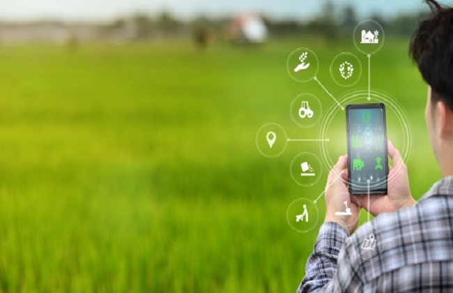 الزراعة الرقمية والإرشاد الإلكتروني للحد من تأثير التغيرات المناخية