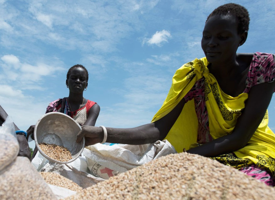 سيدات إفريقيا عرضة للمجاعة والفقر المرأة الريفية تتحمل ضريبة باهظة في مواجهة تغيرات المناخ |فيديو 
