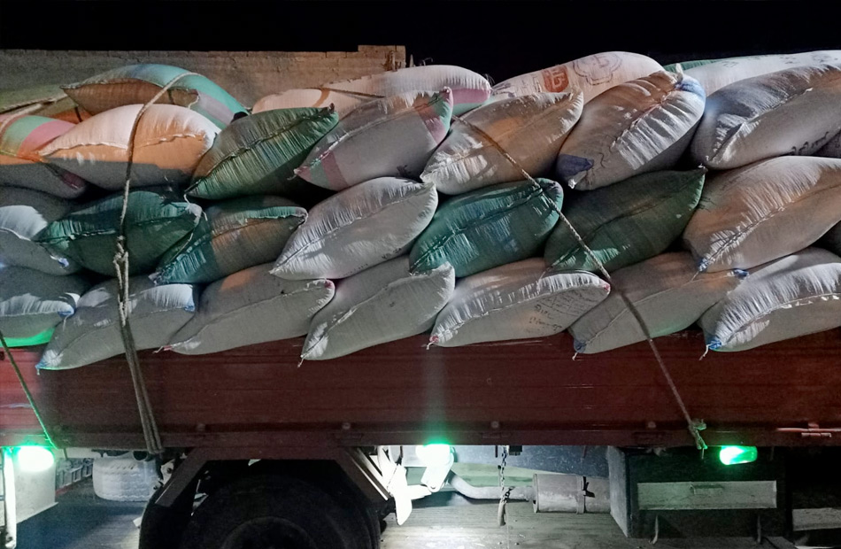  مصادرة 16 طن أرز شعير جمعها تجار في الغربية
