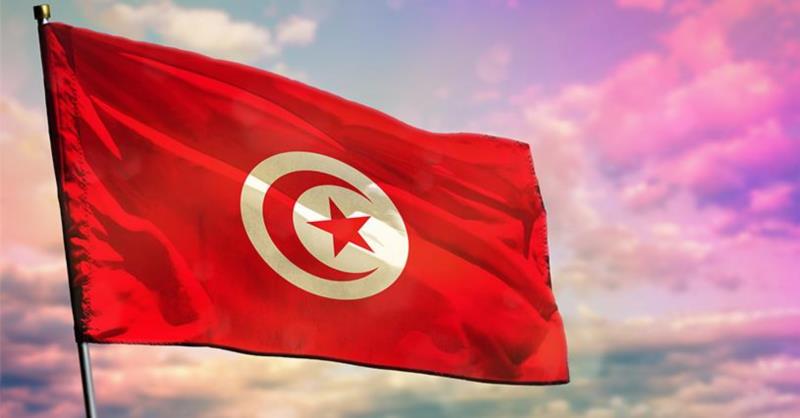 تونس تحيي الاحتفال باليوم العالمي لشجرة الزيتون