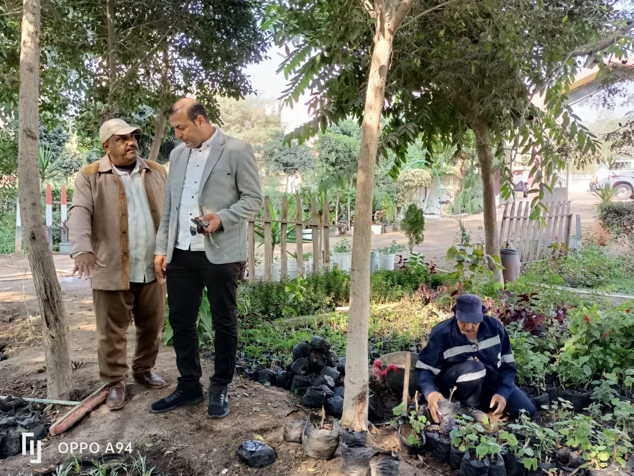محافظ كفر الشيخ: زراعة الأشجار بالمدن والقرى والمدارس تفعيلا للمبادرات  الرئاسية "اتحضر للأخضر" |صور - بوابة الأهرام