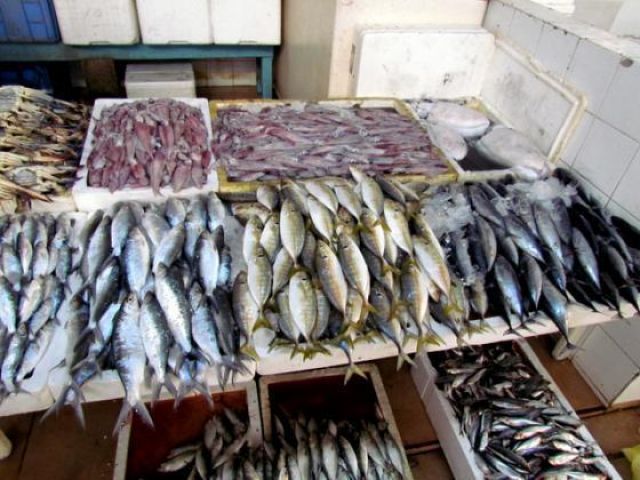 أسعار الأسماك في السوق اليوم السبت  أبريل   