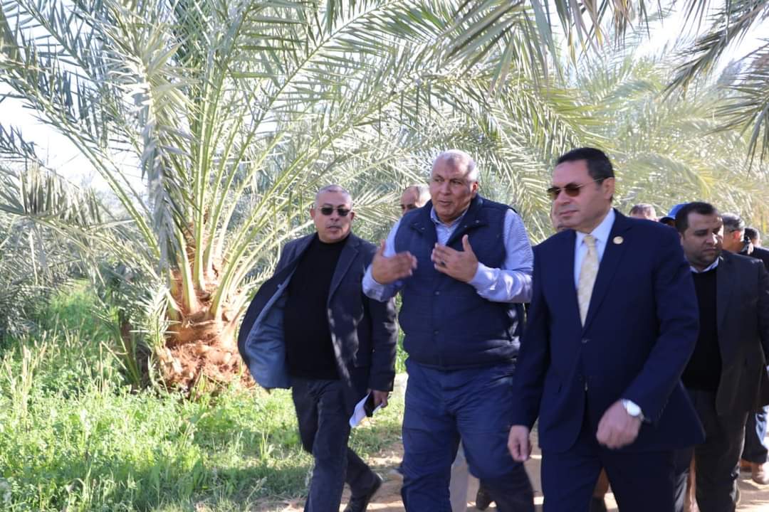 لجنة زراعة بمجلس النواب تتابع أحدث طرق زراعة النخيل بالوادي الجديد |صور -  بوابة الأهرام
